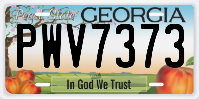GA license plate PWV7373
