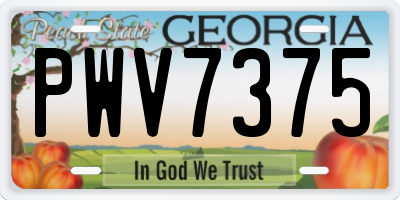 GA license plate PWV7375