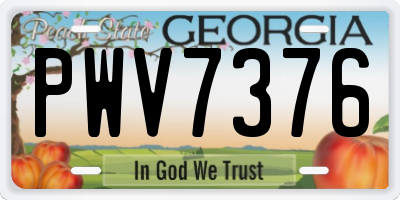 GA license plate PWV7376