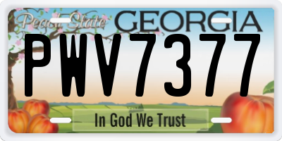GA license plate PWV7377