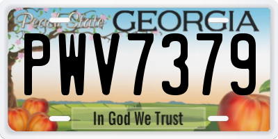 GA license plate PWV7379