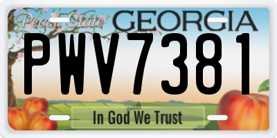 GA license plate PWV7381