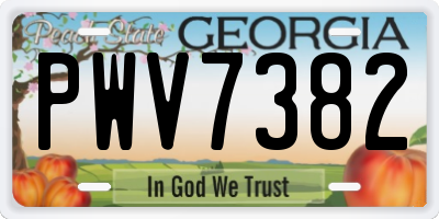 GA license plate PWV7382