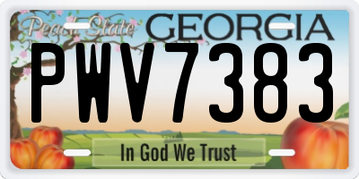 GA license plate PWV7383