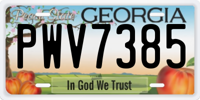 GA license plate PWV7385