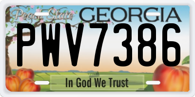 GA license plate PWV7386