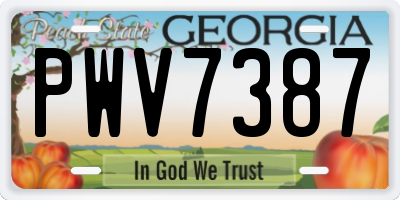 GA license plate PWV7387