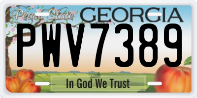 GA license plate PWV7389