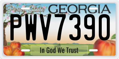 GA license plate PWV7390