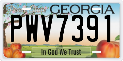 GA license plate PWV7391