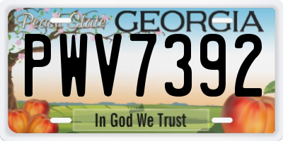 GA license plate PWV7392