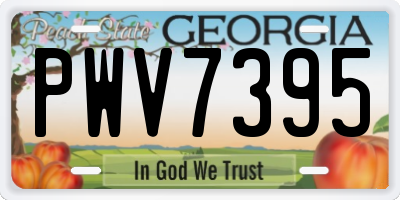 GA license plate PWV7395