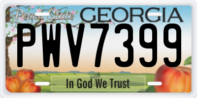 GA license plate PWV7399