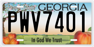 GA license plate PWV7401