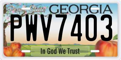 GA license plate PWV7403