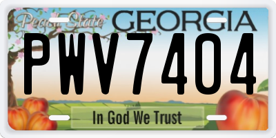 GA license plate PWV7404