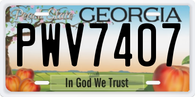 GA license plate PWV7407