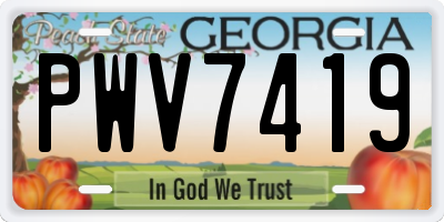 GA license plate PWV7419