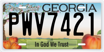 GA license plate PWV7421