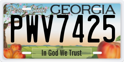 GA license plate PWV7425