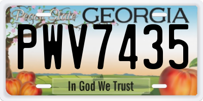 GA license plate PWV7435