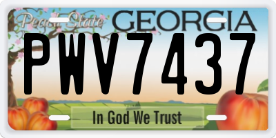 GA license plate PWV7437