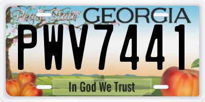 GA license plate PWV7441