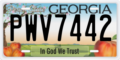 GA license plate PWV7442