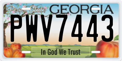 GA license plate PWV7443