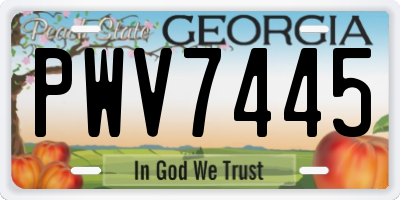 GA license plate PWV7445