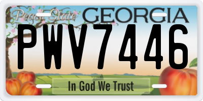 GA license plate PWV7446