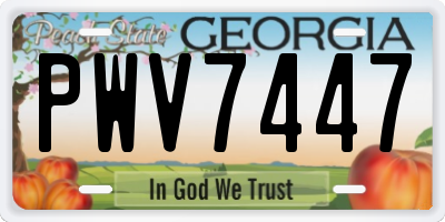 GA license plate PWV7447