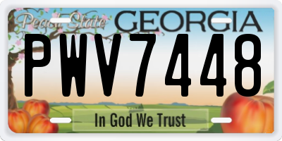 GA license plate PWV7448