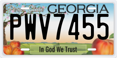 GA license plate PWV7455