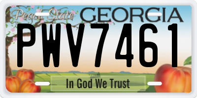 GA license plate PWV7461
