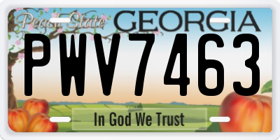 GA license plate PWV7463