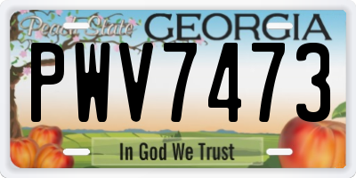 GA license plate PWV7473