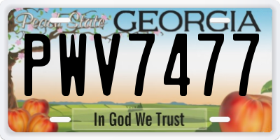 GA license plate PWV7477