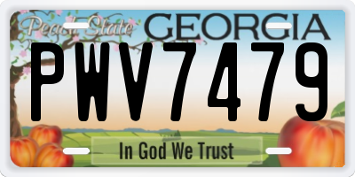 GA license plate PWV7479