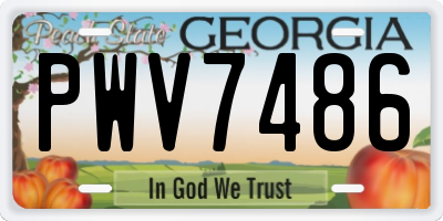 GA license plate PWV7486