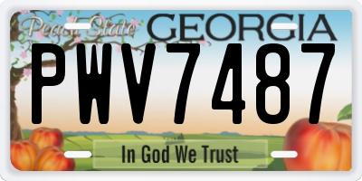 GA license plate PWV7487