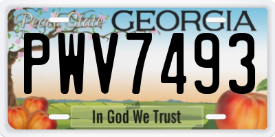 GA license plate PWV7493