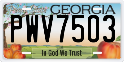 GA license plate PWV7503