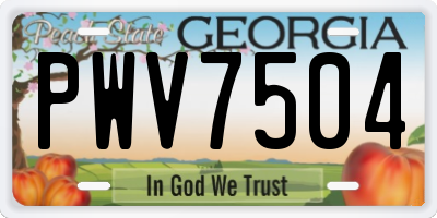 GA license plate PWV7504