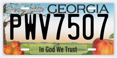 GA license plate PWV7507