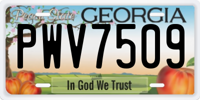 GA license plate PWV7509