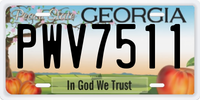 GA license plate PWV7511