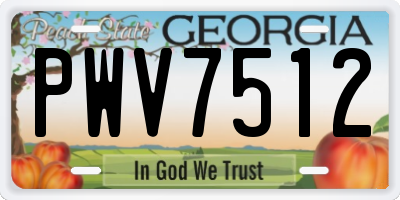 GA license plate PWV7512