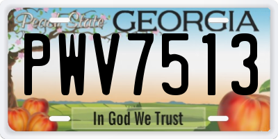 GA license plate PWV7513
