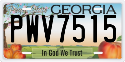 GA license plate PWV7515